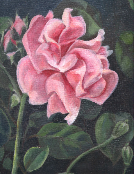 gerbe rose_scan