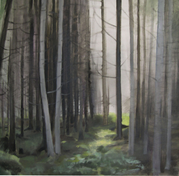 skog med ljusspalt