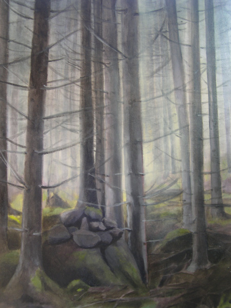 skog_med_stenar