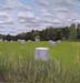 ensilage persp